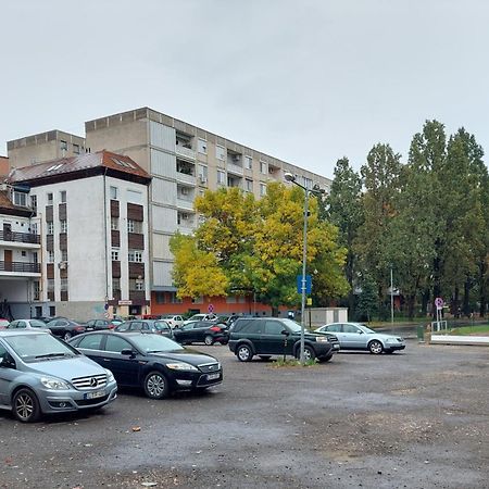 Central Gallery Apartment Debrecen Buitenkant foto